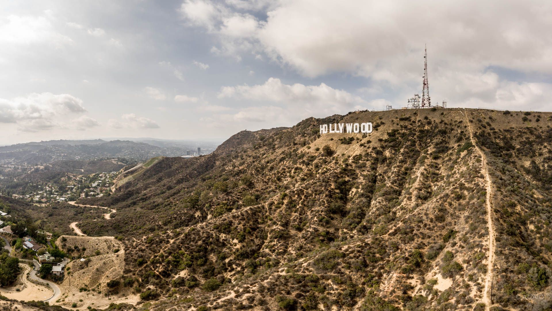 HOLLYWOOD HILLS